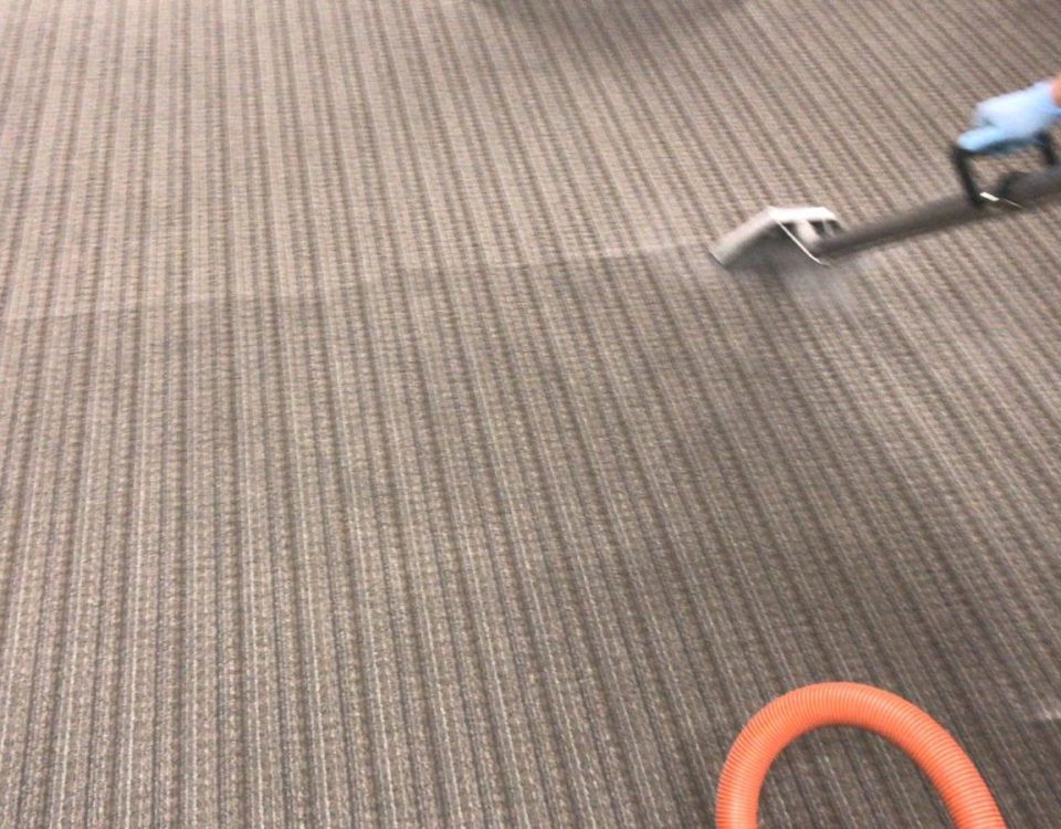 carpet cleaning in rancho santa margarita